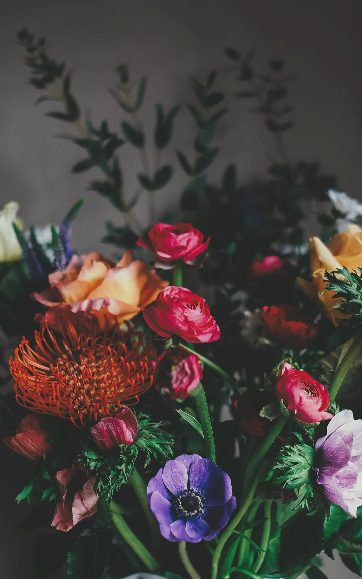 Red ranunculus, a pincushion protea and a violet anemone against a shadowy background
