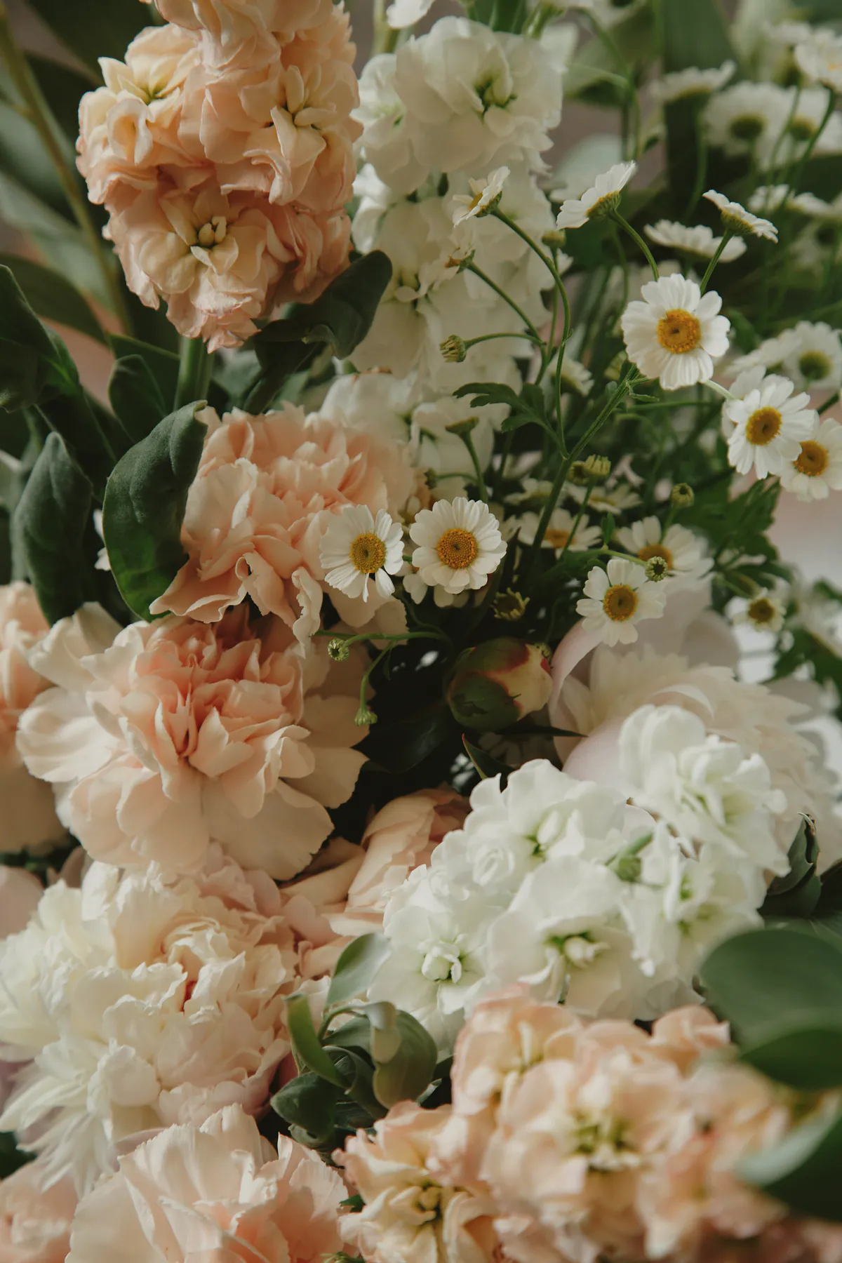 A close view of apricot stock, cream hydrangea and small white chamomile flowers