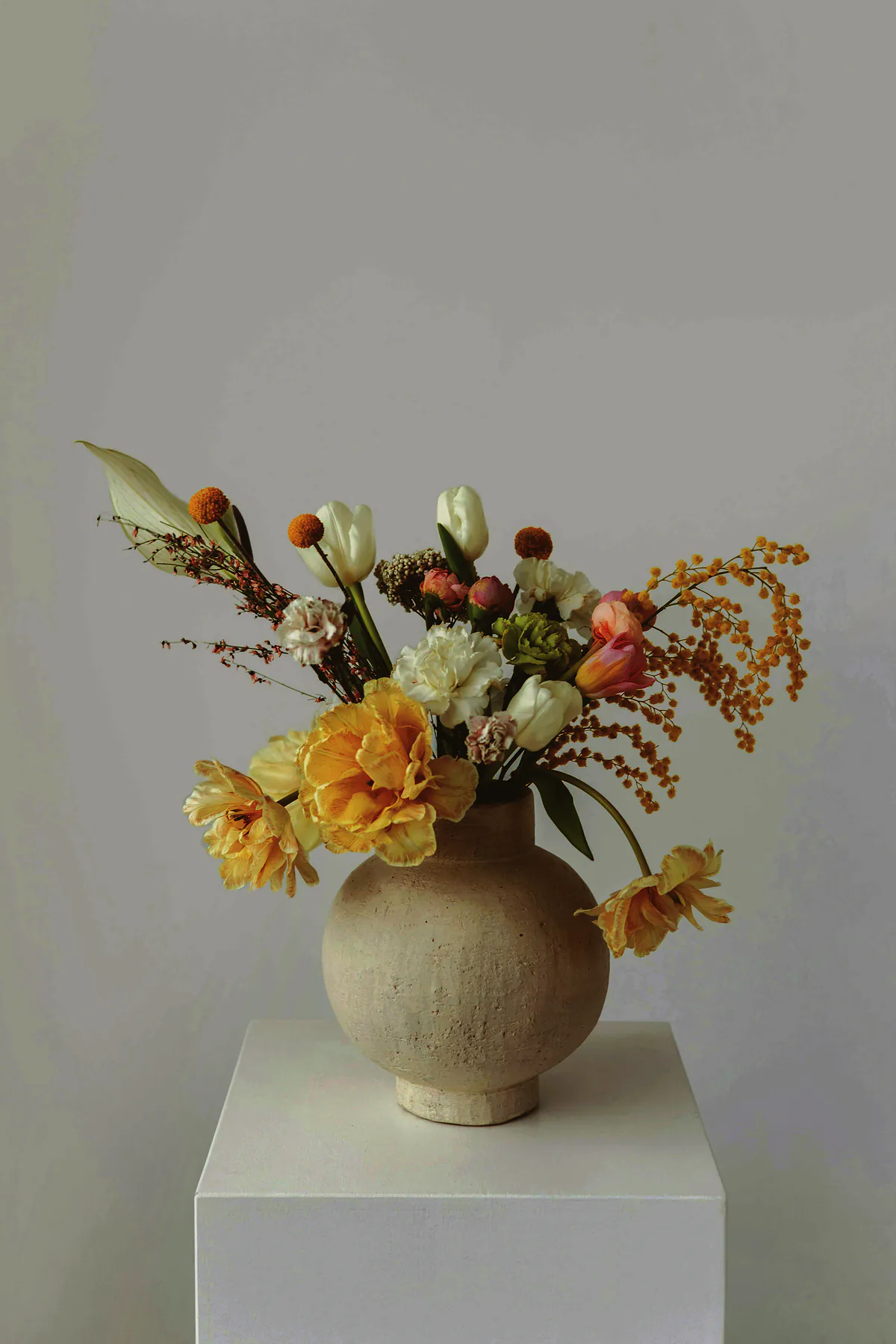 A round cream stoneware jar of yellow and white spring flowers with wattle, on a white plinth