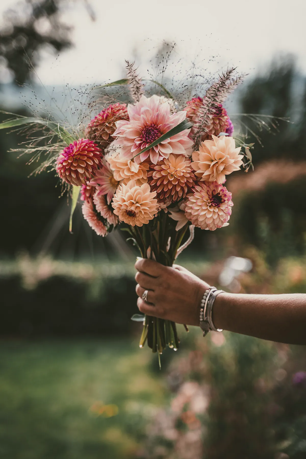 A hand holding out a just picked bunch of coral and peach dahlias in a garden