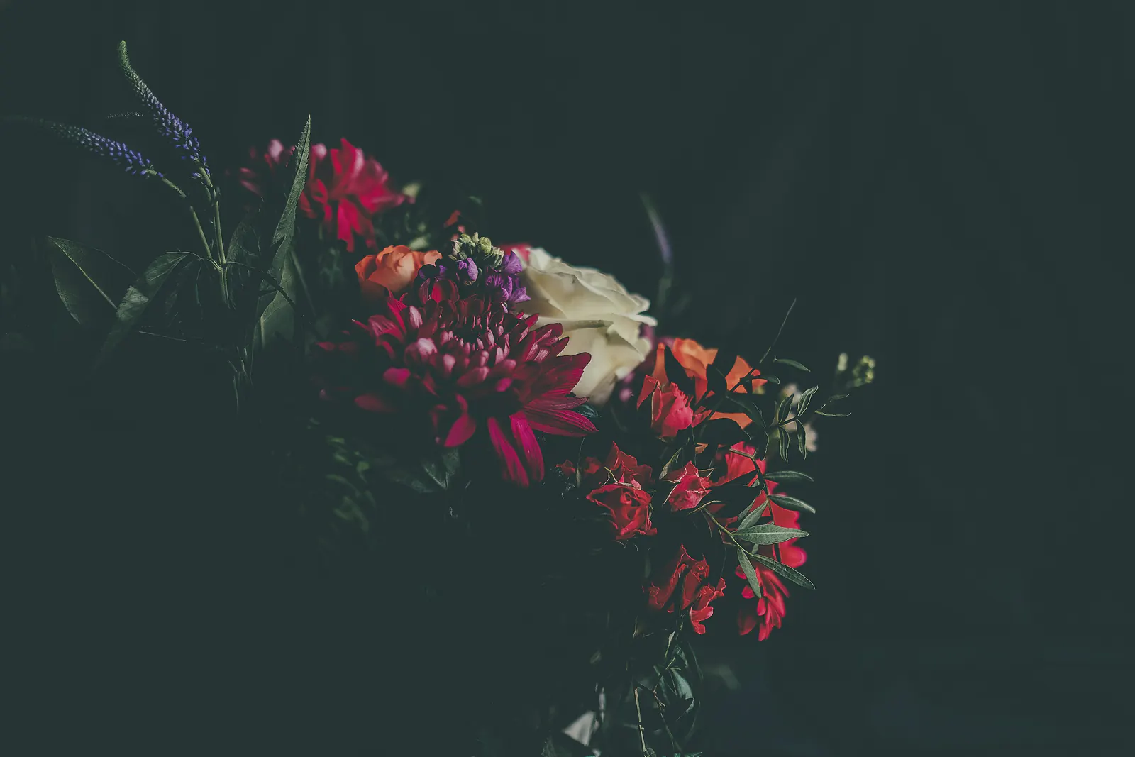 A spray of red dahlias, alstroemeria and lavender stems against a deep teal background