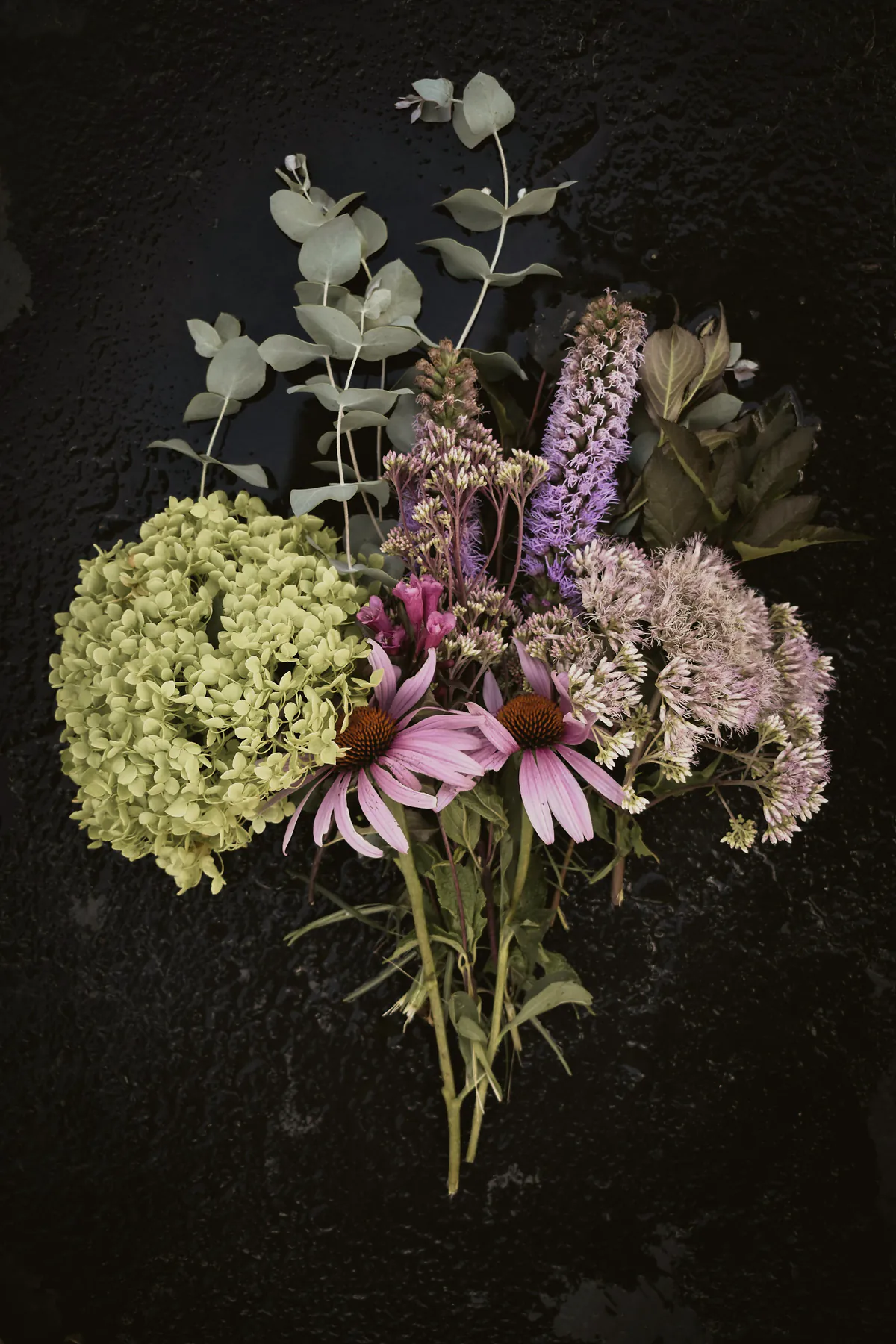 A flat lay of green hydrangea, echinacea, larkspur and eucalyptus on a dark surface