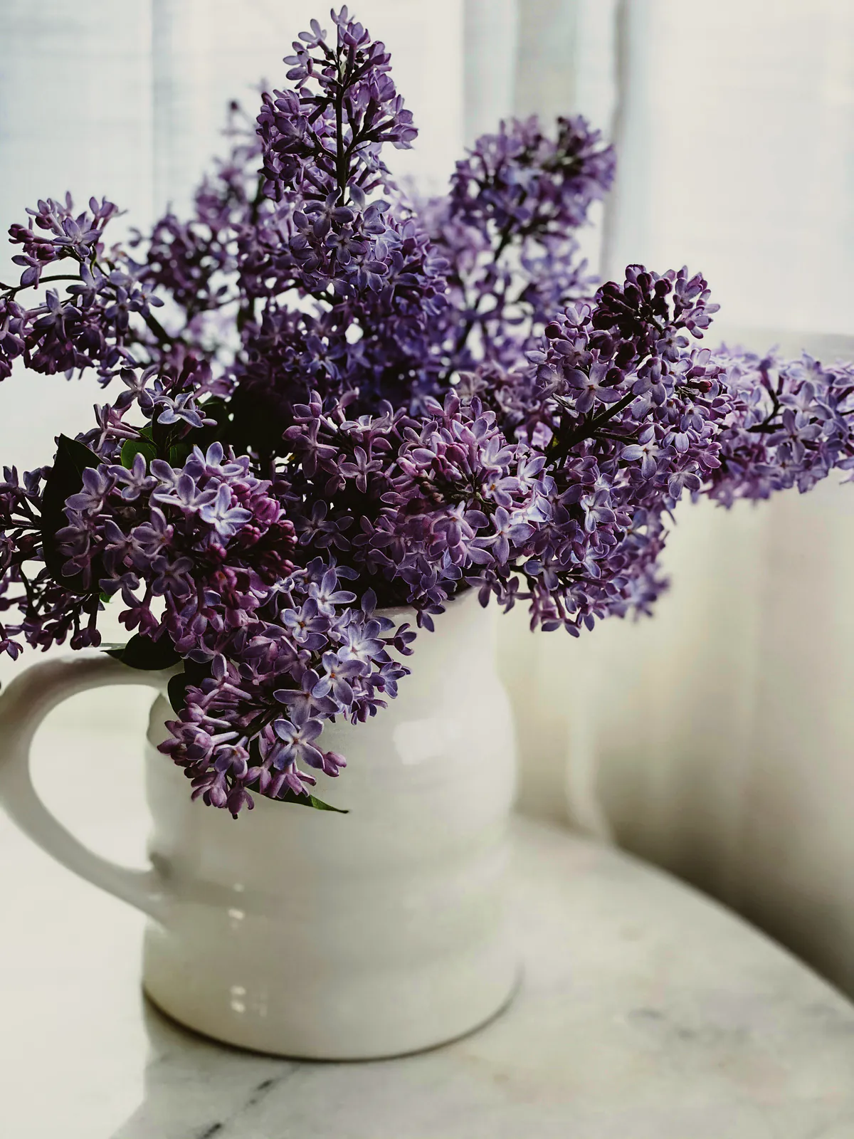 A white ceramic jug overflowing with mauve lilac by a bright window