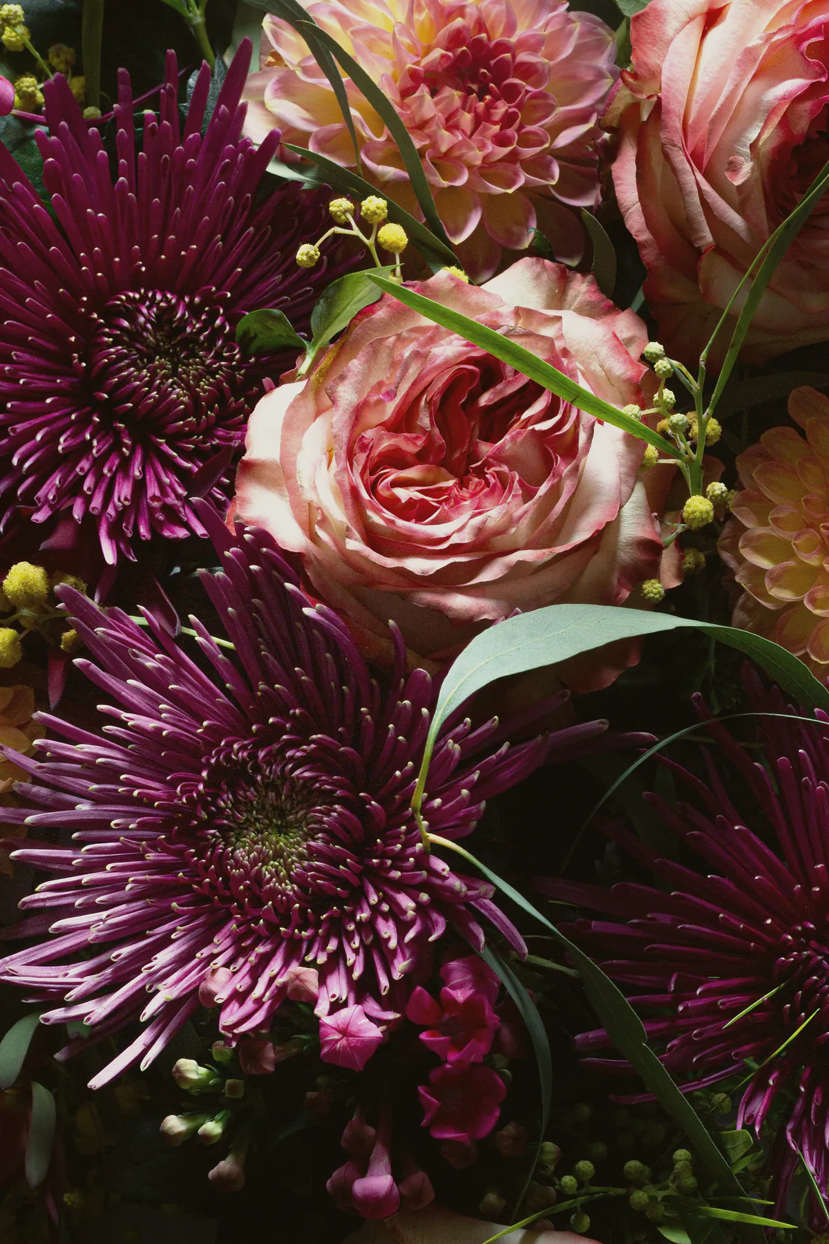 A close view of plum chrysanthemums, coral garden roses and berries