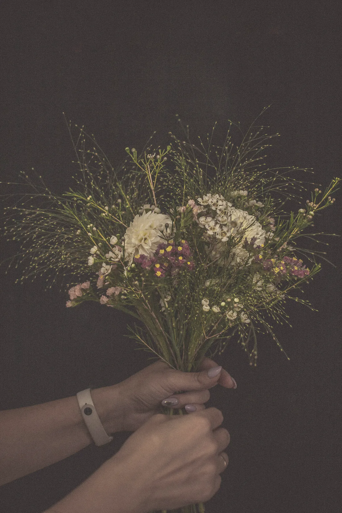 Two hands holding a loose posy of dahlia, waxflower and fine grasses against a dark plum wall