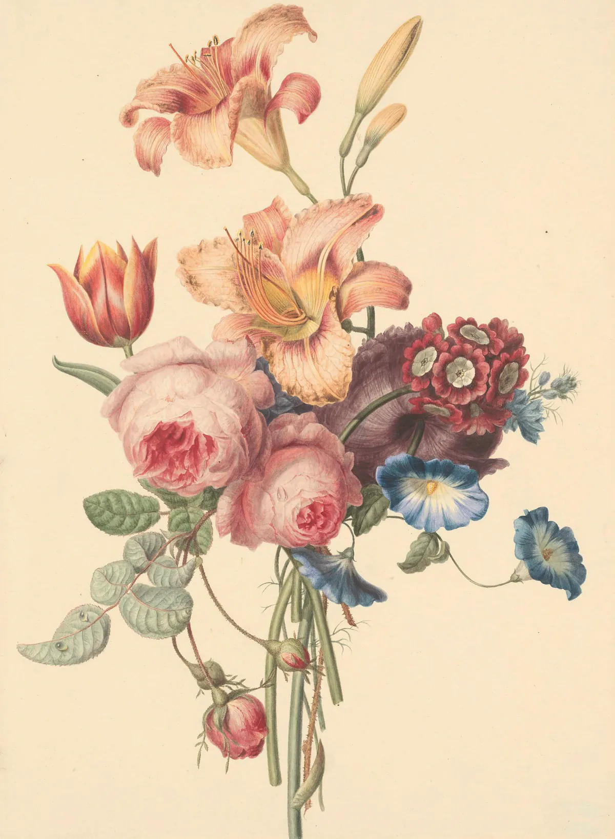 An antique hand coloured print of lilies, roses and morning glory tied in a loose posy