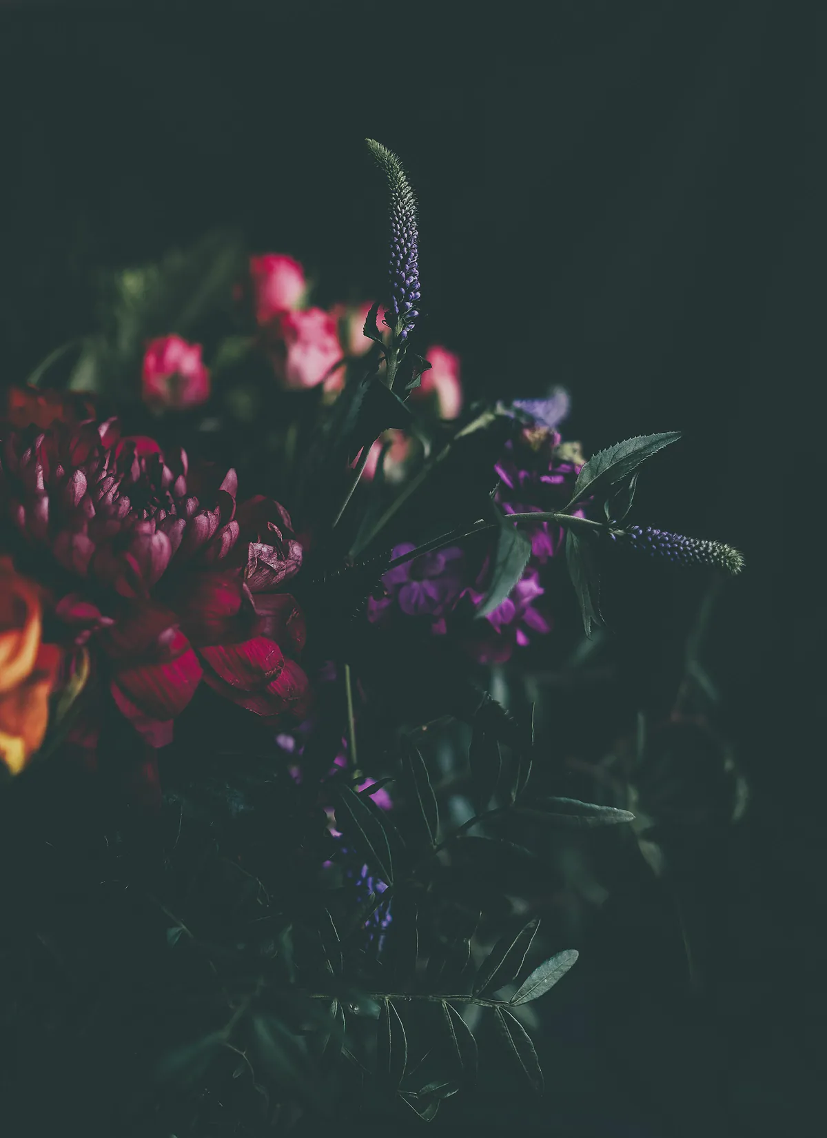 A loose bunch of claret dahlias, deep pink stock and purple veronica against a dark wall