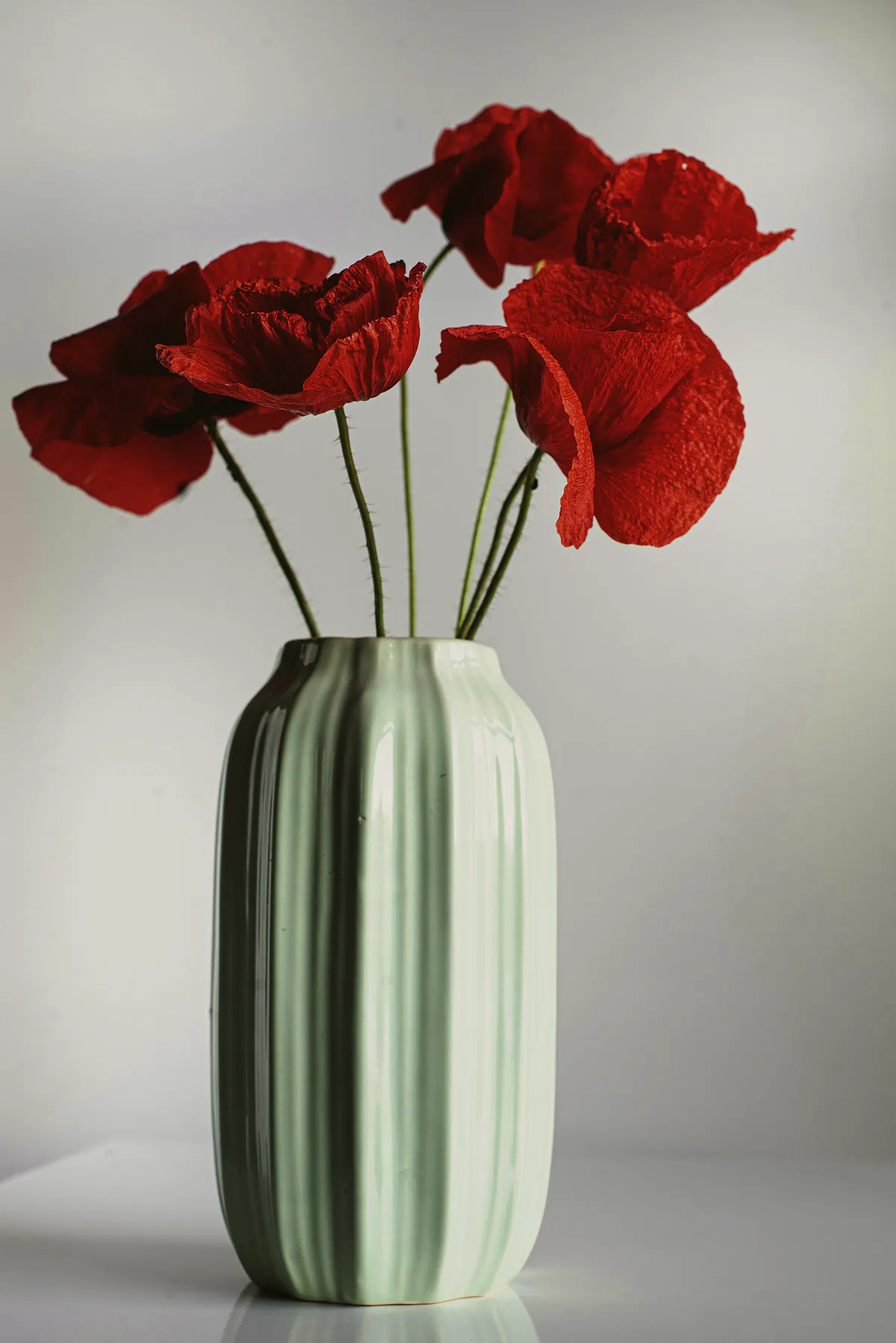Red poppies in a tall ribbed porcelain vase with a pale celadon glaze