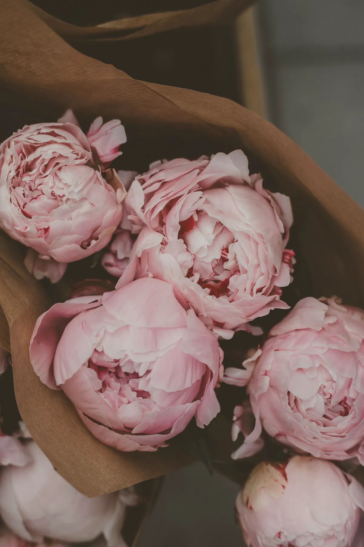 Pale pink peonies wrapped in brown paper