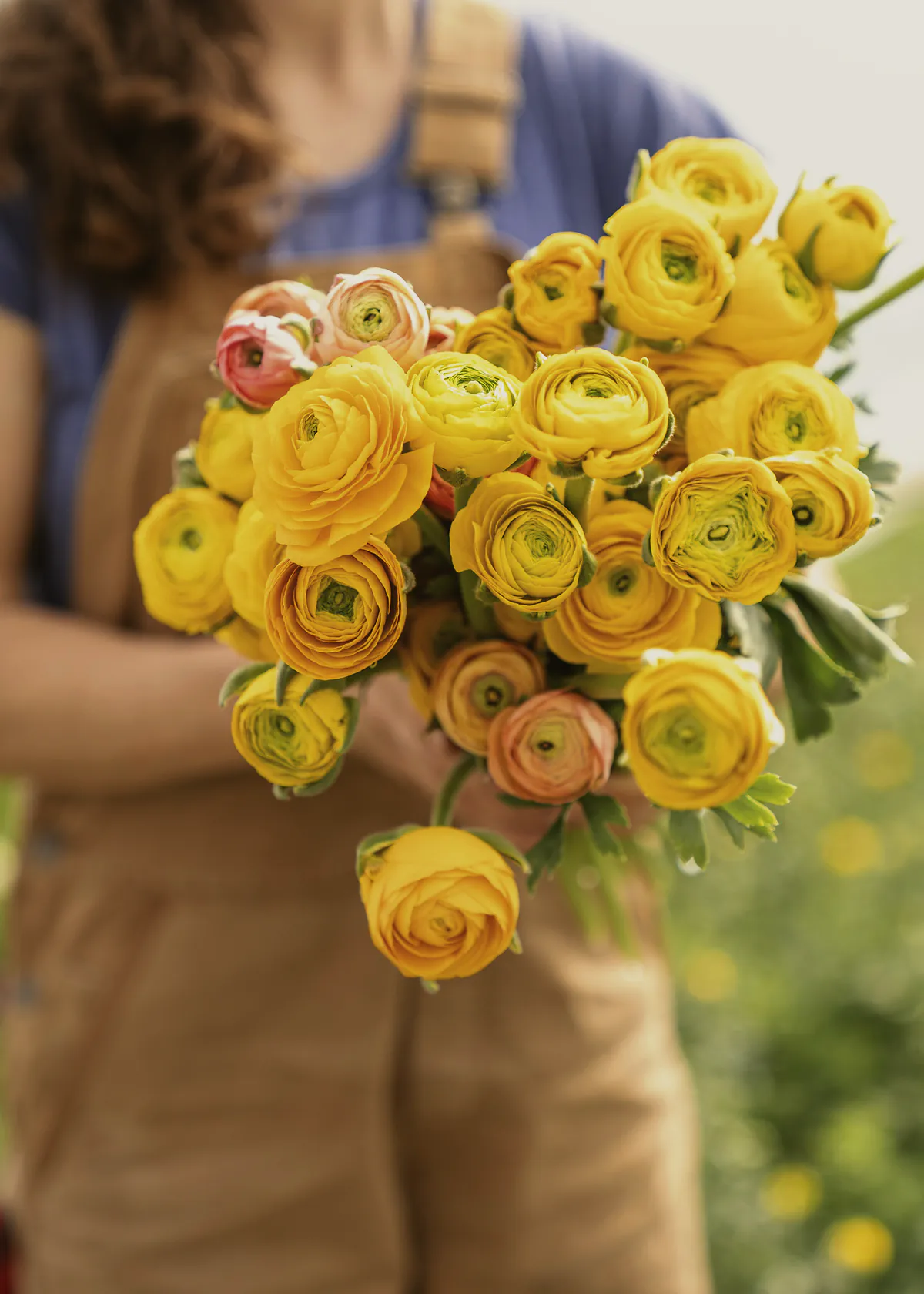 A grower in overalls holding a generous bunch of yellow ranunculus